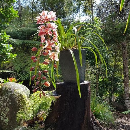 Warblers Retreat Auckland Exterior foto