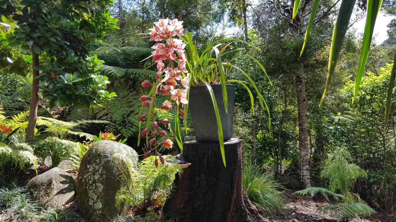 Warblers Retreat Auckland Exterior foto